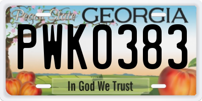 GA license plate PWK0383