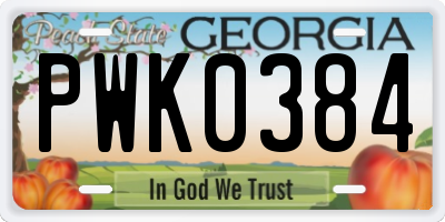 GA license plate PWK0384