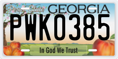 GA license plate PWK0385