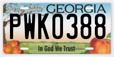 GA license plate PWK0388