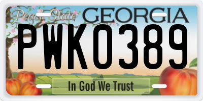 GA license plate PWK0389