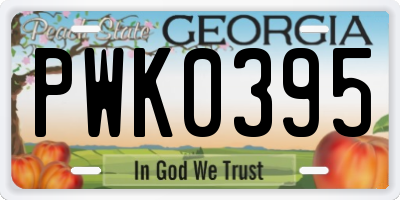 GA license plate PWK0395