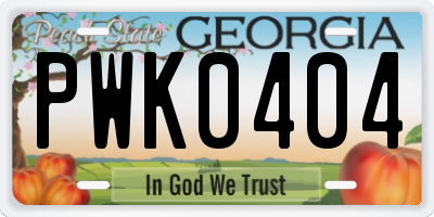 GA license plate PWK0404