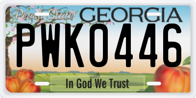 GA license plate PWK0446