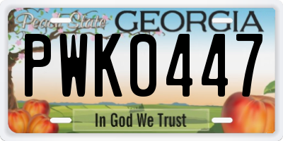 GA license plate PWK0447