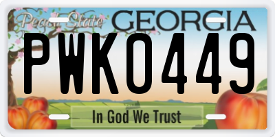 GA license plate PWK0449
