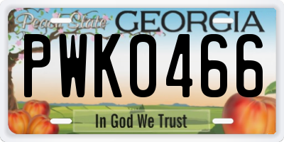GA license plate PWK0466