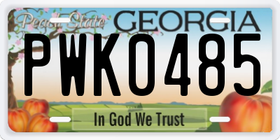 GA license plate PWK0485