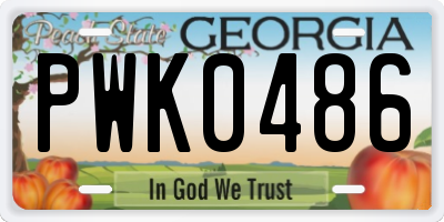 GA license plate PWK0486