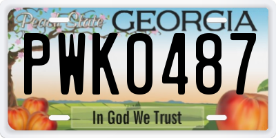 GA license plate PWK0487