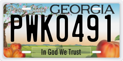 GA license plate PWK0491