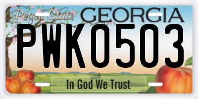GA license plate PWK0503