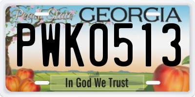 GA license plate PWK0513