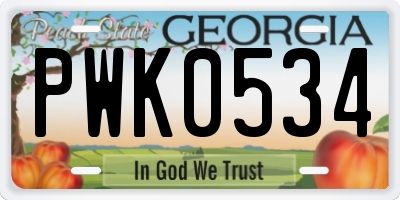 GA license plate PWK0534