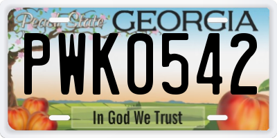 GA license plate PWK0542