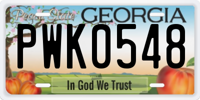 GA license plate PWK0548