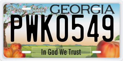 GA license plate PWK0549