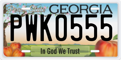 GA license plate PWK0555