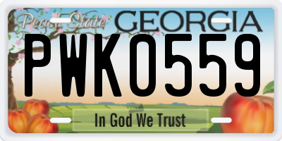 GA license plate PWK0559
