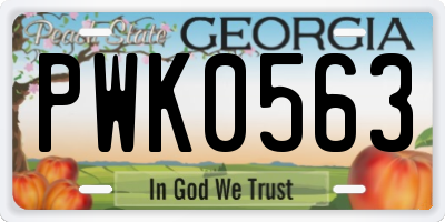 GA license plate PWK0563