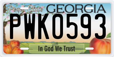 GA license plate PWK0593