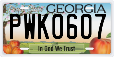 GA license plate PWK0607