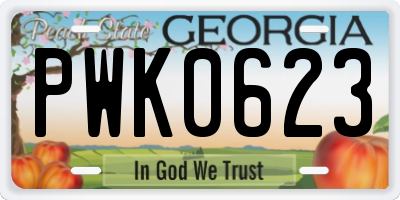 GA license plate PWK0623