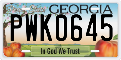 GA license plate PWK0645