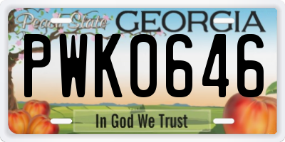 GA license plate PWK0646