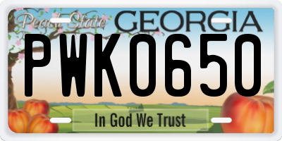 GA license plate PWK0650