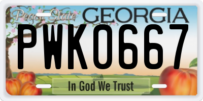 GA license plate PWK0667