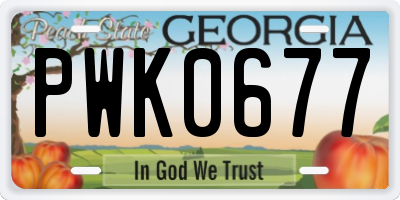 GA license plate PWK0677
