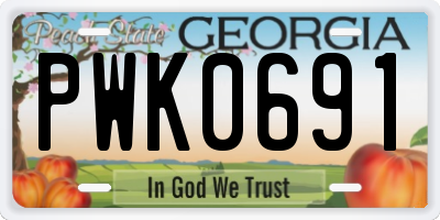 GA license plate PWK0691