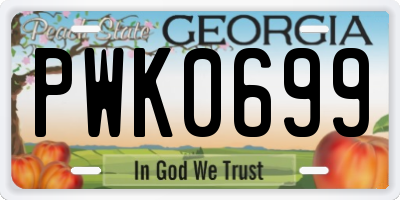 GA license plate PWK0699