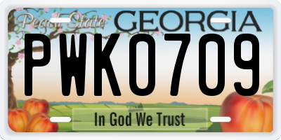 GA license plate PWK0709