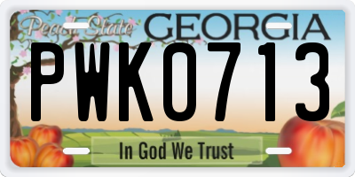 GA license plate PWK0713