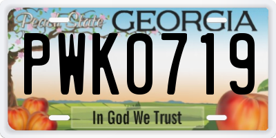 GA license plate PWK0719