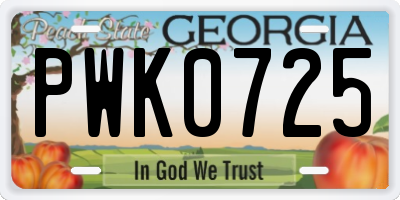 GA license plate PWK0725