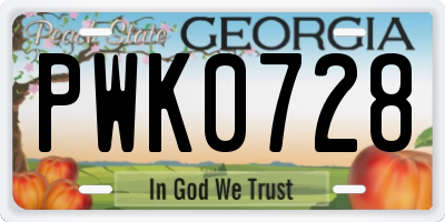 GA license plate PWK0728