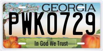 GA license plate PWK0729