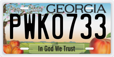 GA license plate PWK0733