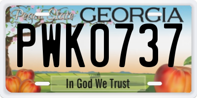 GA license plate PWK0737