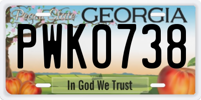 GA license plate PWK0738