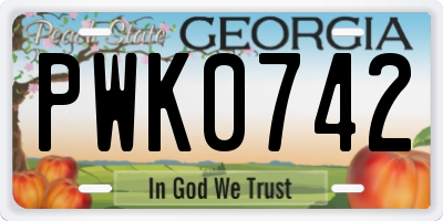 GA license plate PWK0742