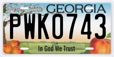 GA license plate PWK0743