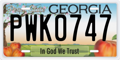GA license plate PWK0747