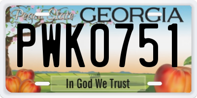 GA license plate PWK0751