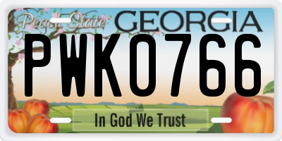 GA license plate PWK0766