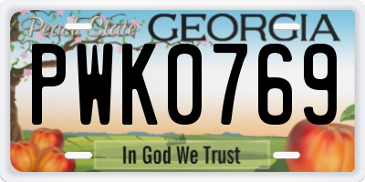 GA license plate PWK0769