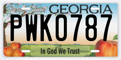 GA license plate PWK0787